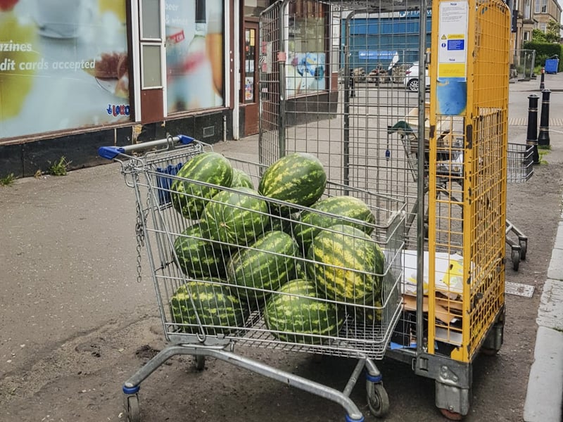 Photograph by Nazia Soofi entitled 'My Watermelon'