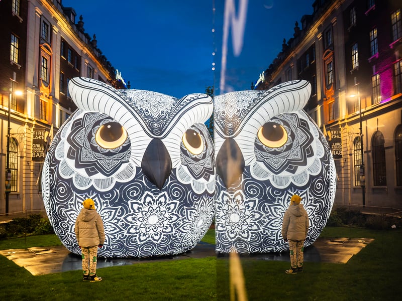 People view Nocturnal by Glow Art Creations.