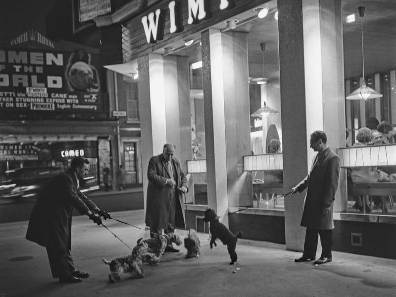 Dogs and their owners meet outside a Wimpy bar at night-time in March 1964. In the background is the Cameo Royal cinema, showing 'Women of the World'.
