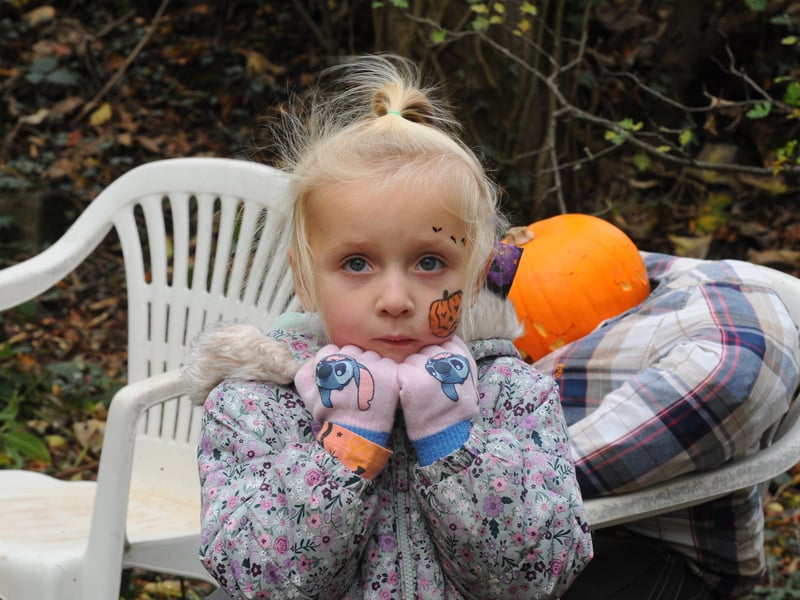 Four-year-old Ayda Hunter from Ossett in the wood.