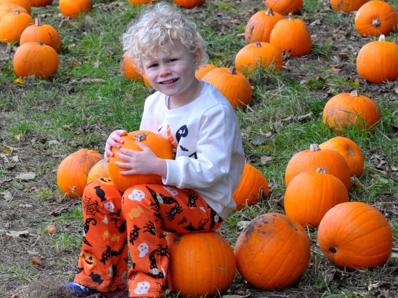 Beau Williams from Ackworth holds on to her pumpkin.