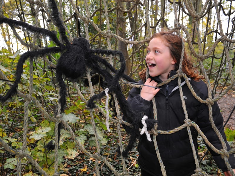 Emily Yates, 10, from Wakefield meets a giant spider in the wood.