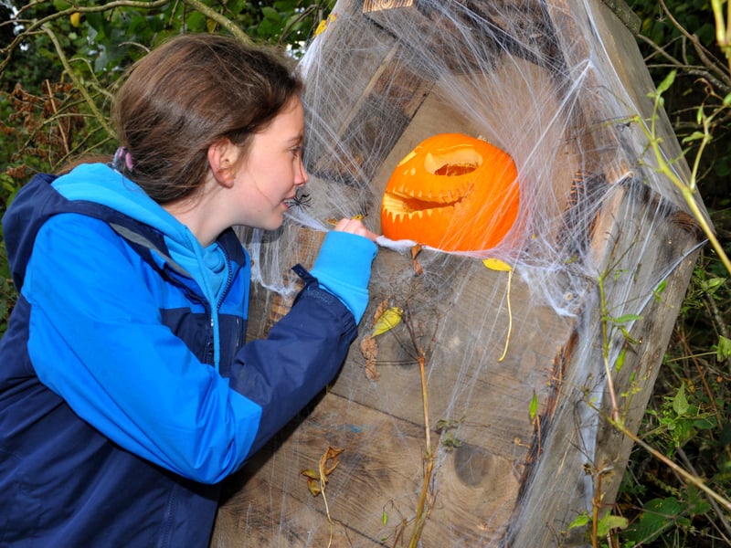 Carley Abbott, 11, from Huddersfield checks out the pumpkin.
