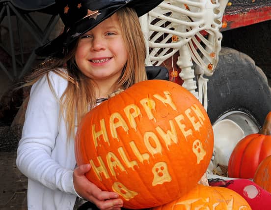Happy Halloween! Five-year-old Luna Matthews from West Park amongst the pumpkins.