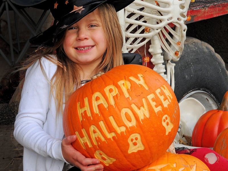 Happy Halloween! Five-year-old Luna Matthews from West Park amongst the pumpkins.