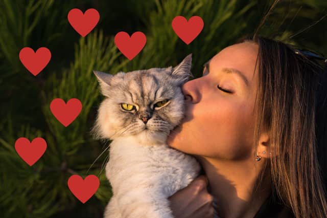 Cats have many ways to show how much they love you.