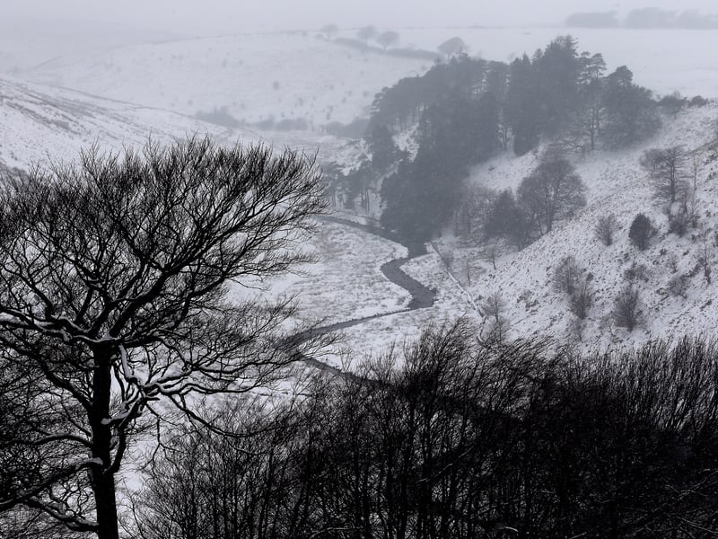 Exmoor had 370,000 visitors and a 37 per cent increase. Pictured is snow covering fields near to Simonsbath in Exmoor.