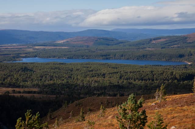 The Scottish Highlands emerged as the winner in Britain's winter tourism boom, with 890,000 visitors during the winter season, representing a 71 per cent increase from pre-pandemic figures. The region's popularity has been driven by its diverse range of winter activities, from skiing at Cairngorms to wildlife watching and winter hiking trails.