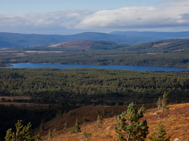 The Scottish Highlands emerged as the winner in Britain's winter tourism boom, with 890,000 visitors during the winter season, representing a 71 per cent increase from pre-pandemic figures. The region's popularity has been driven by its diverse range of winter activities, from skiing at Cairngorms to wildlife watching and winter hiking trails.