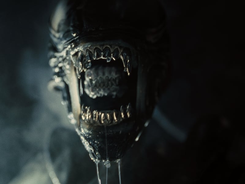 Proving the everlasting appeal of ‘Alien’ – and why it’s the most popular horror in the UK – is ‘Alien: Romulus’. Released in 2024, the sci-fi horror follows the events of the 1979 film and comes before its 1986 sequel ‘Aliens’. With a young cast, it follows six space colonists who encounter hostile creatures while scavenging a derelict space station.
