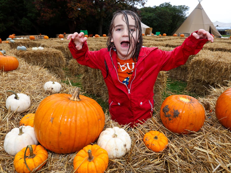 Teddy Davis-Hofbauer, 6, enjoys the Spookesbury maze. Picture: Chris Moorhouse (291025-71)