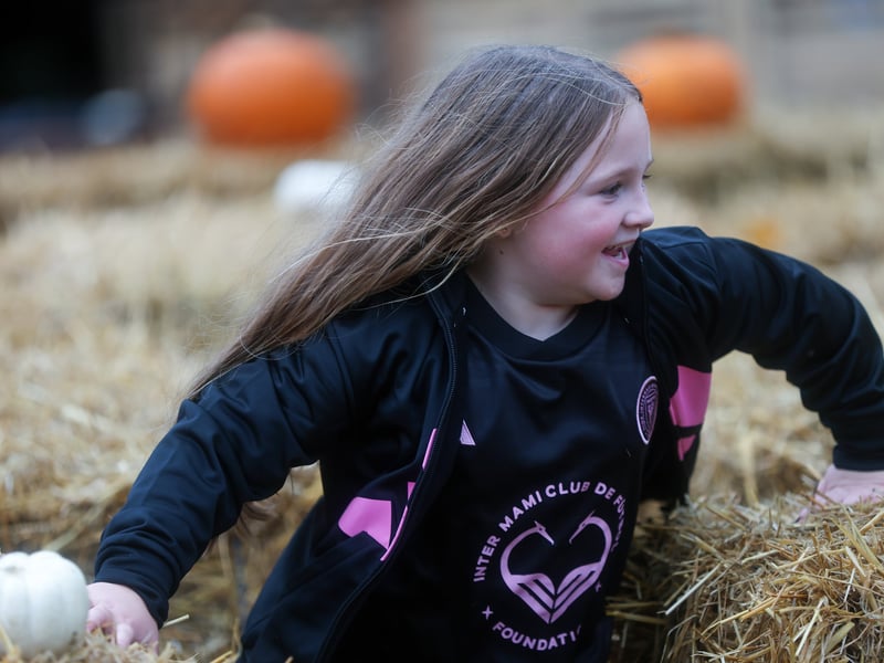 Avika Smith, 6, in the maze at Spookesbury. Picture: Chris Moorhouse (291025-57)