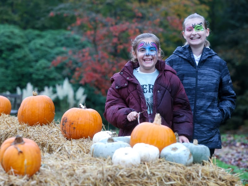 Sisters Meadow Godderidge, 8, left, and Willow Godderidge at the Spookesbury Halloween event at Rookesbury Park, near Wickham.
Picture: Chris Moorhouse (291025-73)