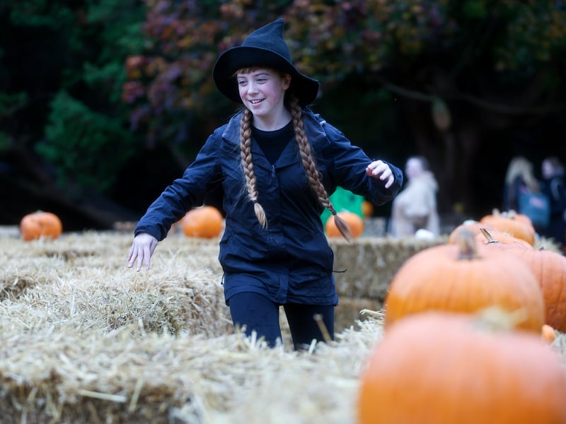 Bella Cameron-Hellyer, 12, finding her way out of the maze. Picture: Chris Moorhouse (291025-56)