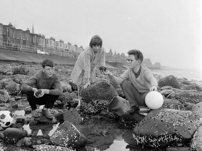 Children playing in the rock pools on Portobello Beach in July 1965.