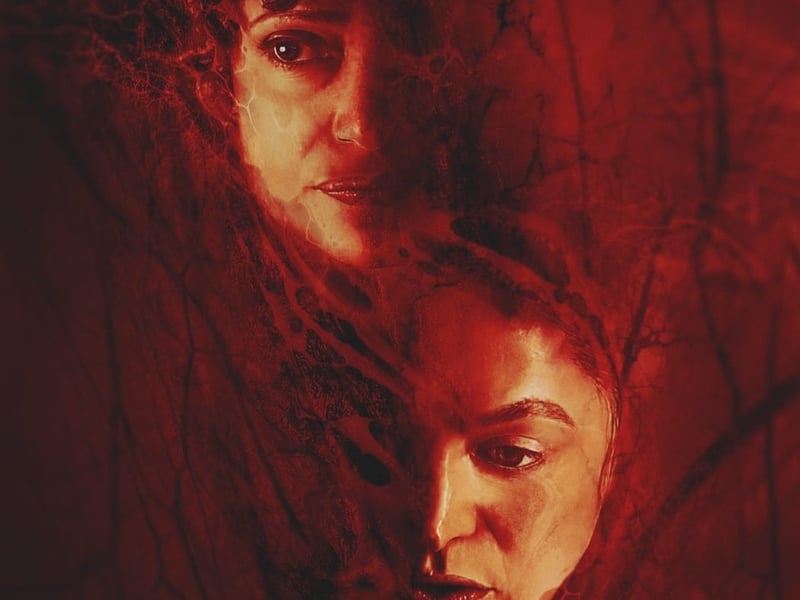 Birth/Rebirth is a psychological horror which follows a morgue technician who successfully animates a young girl. When her mother finds out that her daughter is once again alive, the two women make a deal and head down a dark path together. Starring Marin Ireland, Judy Reyes and A.J. Lister, this film has 95% on Rotten Tomatoes making it one of the highest rated horrors on Netflix.
