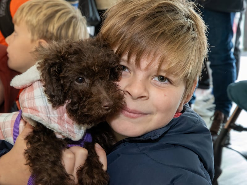 Theo, 9, from Southsea with Esme the support dog.