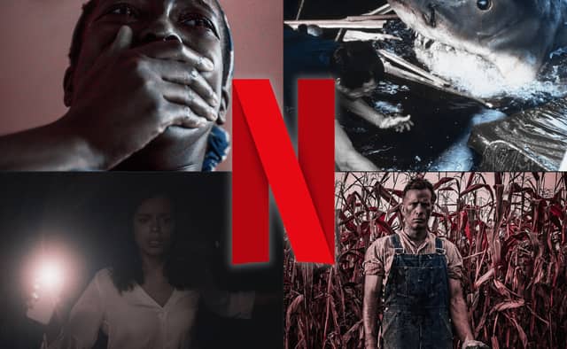 Here are the 15 horror films with the highest Rotten Tomatoes ratings on Netflix in 2025.