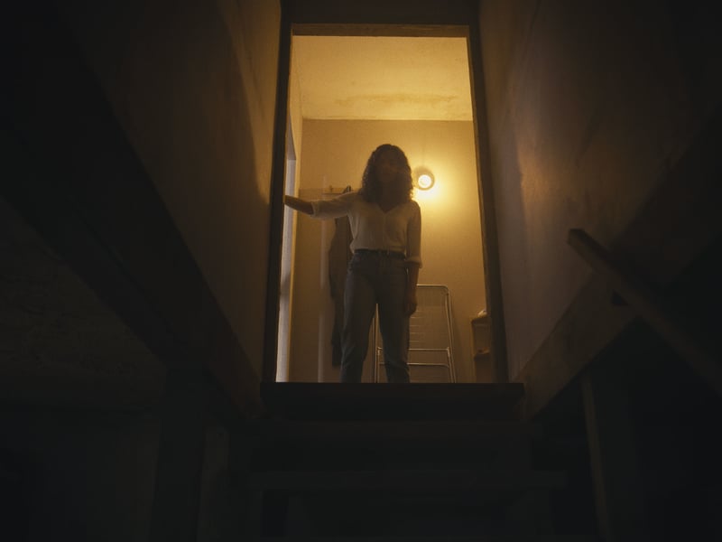 With 92% on Rotten Tomatoes, Barbarian is a strong pick for a Halloween watch on Netflix. The directorial debut of Zach Cregger - whose most recent film Weapons also impressed - this horror follows a young woman as she discovers the rental home she's booked for a trip is already occupied by a stranger. Against her better judgement she decides to spend the night only to learn there is a lot more to fear than an unexpected guest.