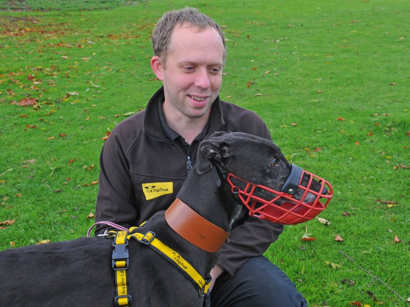  Tom Dresser, Volunteer Co-Ordinator, with Pippa a former racing greyhound
