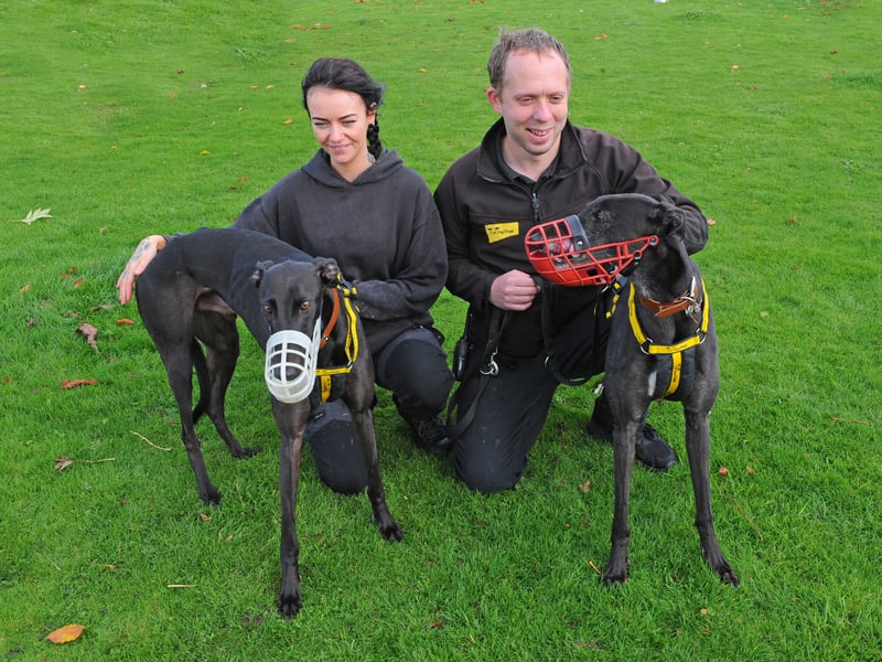 Bethany Coyle, Dog Welfare Assistant, and Volunteer Co-ordinator Tom Dresser with two former racing greyhounds Sinba and Pippa.