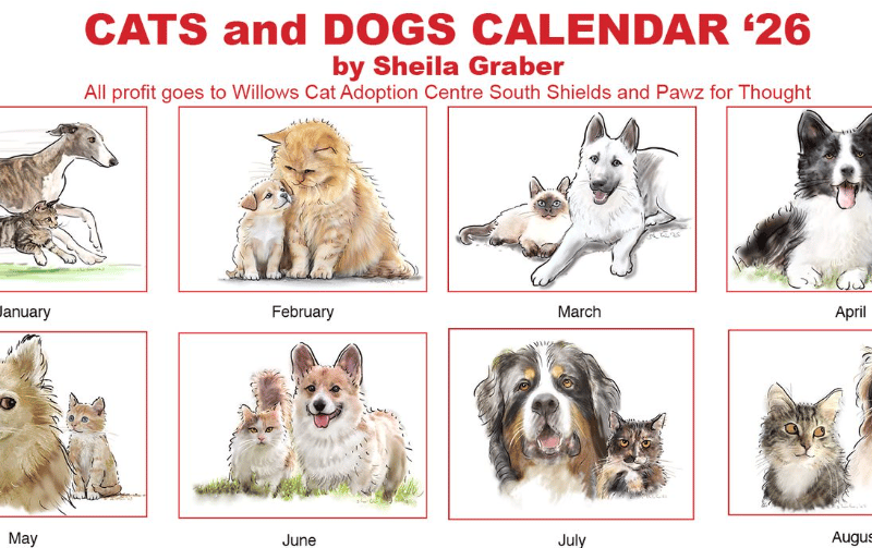 Sheila is a huge supporter of charity and her 2026 Cats and Dogs Calendar will raise money for Willows Cat Adoption Centre and Pawz For Thought.
"Our latest calendar is Cats & Dogs .. not BEARS. but still the animal theme !!" Sheila told us.
Find out more at https://sheilas-shop.company.site/products/cats-and-dogs-calendar-2026