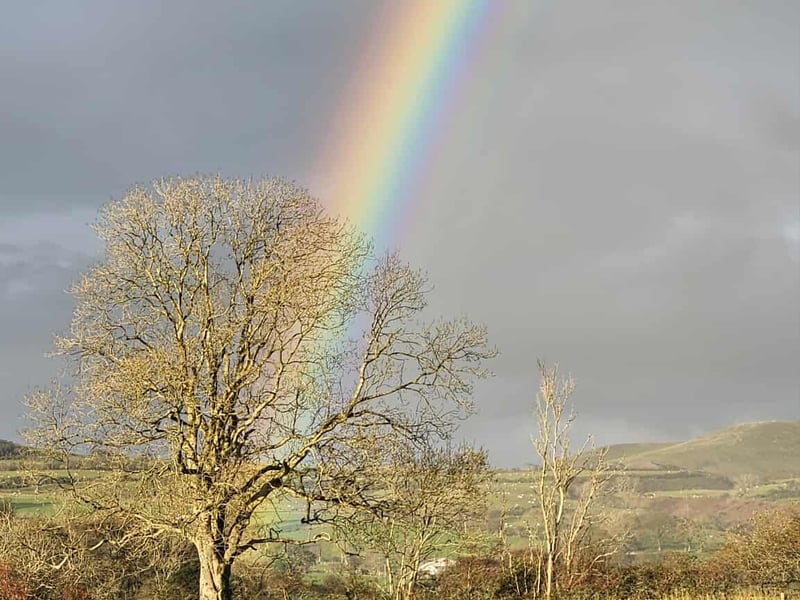 Picture by Deborah Kennedy