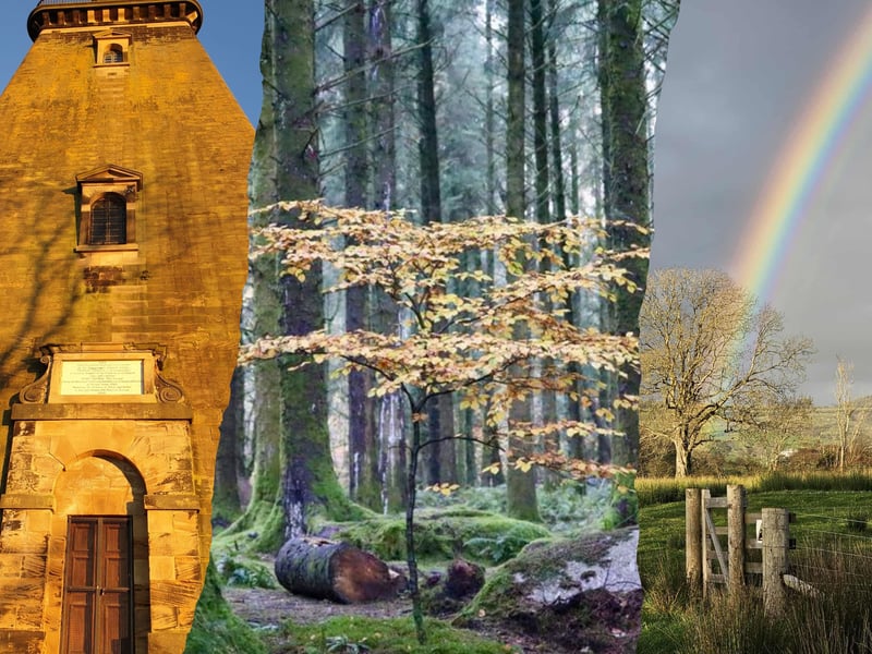 Take a look at these incredible Autumn pictures taken by Star readers.