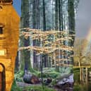 Take a look at these incredible Autumn pictures taken by Star readers. 