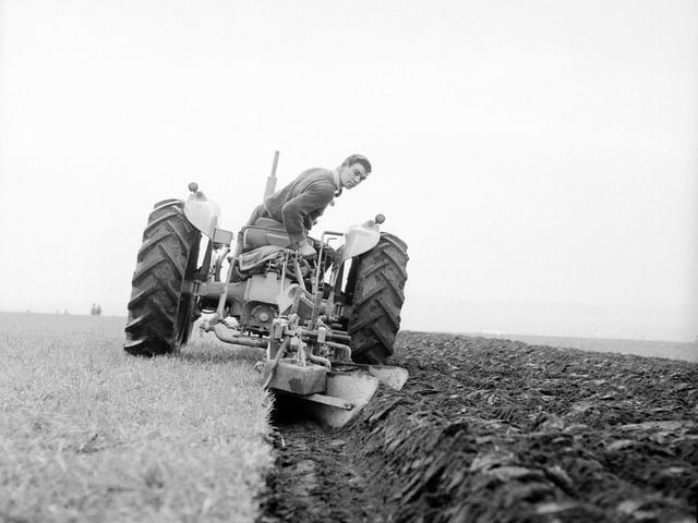 A competitor at Britains' National Championship ploughing Match at West Fenton, North Berwick, in November 1962.