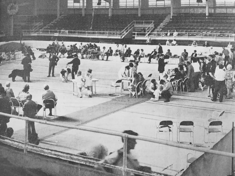 Kirkcaldy & District Canine Club stages its annual dog show at Kirkcaldy Ice Rink in August 1973