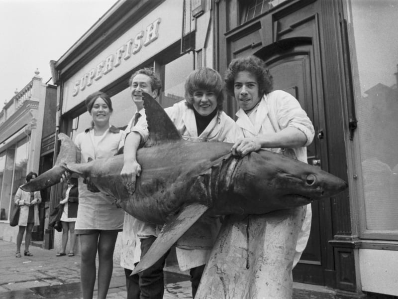 Staff at the Superfish fishmongers in Newington, Edinburgh, hold the shark which was to be sold as shark steaks in September 1971