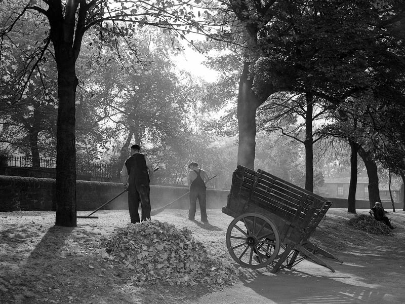Workmen sweep up leaves in the Meadows in September 1959.