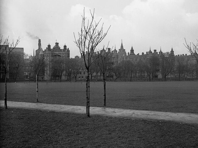 April weather in the Meadows in April 1958.
