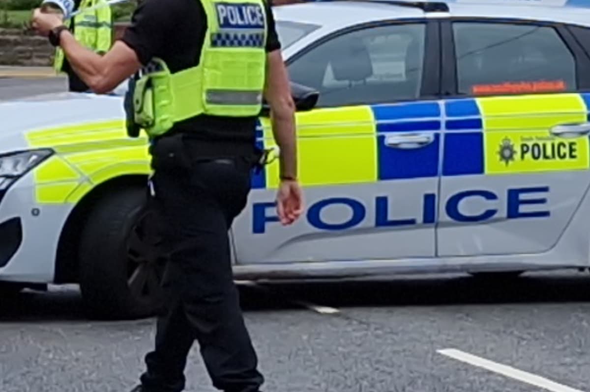 Tragedy as deer shot by police marksman after incident on busy Sheffield ...