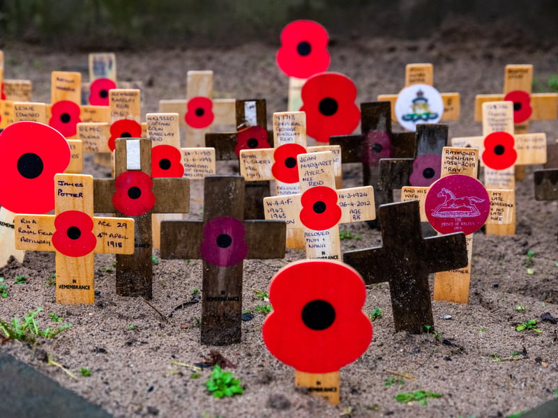 A display of poppies at the memorial in Victoria Gardens, Leeds.