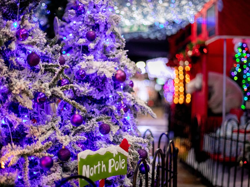 Step into Christmas at Keydell Nurseries with its fabulous festive walk complete with reindeers. 

Picture: Habibur Rahman