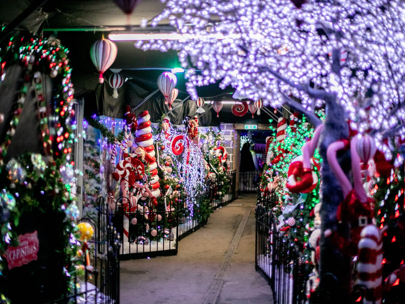 Step into Christmas at Keydell Nurseries with its fabulous festive walk complete with reindeers. 

Picture: Habibur Rahman