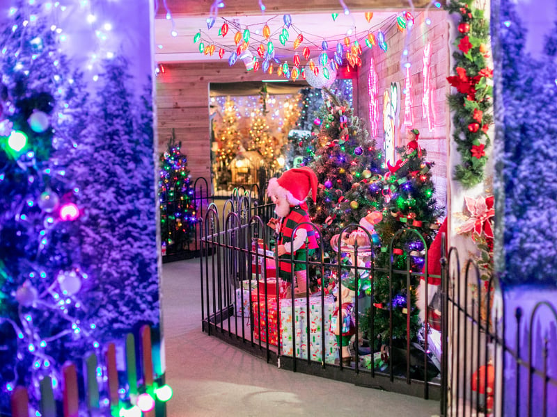 Step into Christmas at Keydell Nurseries with its fabulous festive walk complete with reindeers. 

Picture: Habibur Rahman
