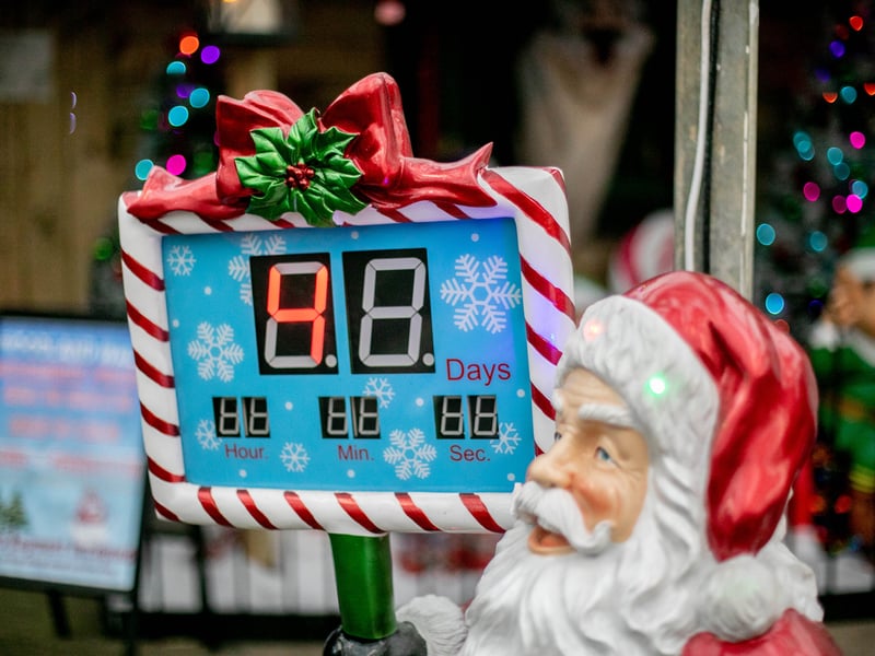 Step into Christmas at Keydell Nurseries with its fabulous festive walk complete with reindeers. 

Picture: Habibur Rahman