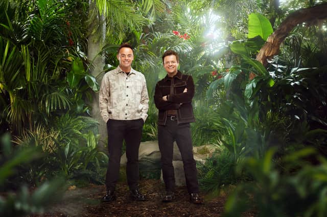 Iconic presenting duo Ant & Dec have what is called a 'golden handcuff' deal with ITV. They are reported to earn £30m across three years - and it includes every show they present, like I'm a Celeb.