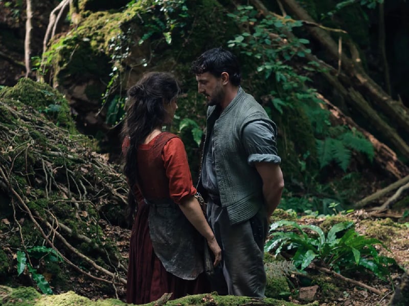 Based on the beloved novel by Maggie O’Farrell, this historical drama centres on the personal life of William Shakespeare, focusing intensely on his wife, Agnes Hathaway, and the devastating impact of their son Hamnet's death. The film is helmed by Oscar-winner Chloé Zhao (Nomadland) and stars Paul Mescal and Jessie Buckley as the famous couple.