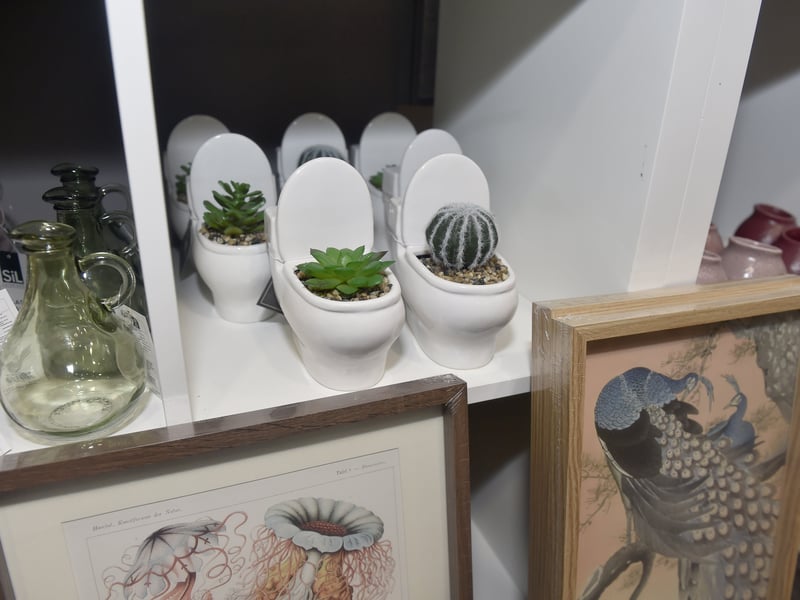 A new homeware store called Ding Dong has opened in Kingswell Path in Cascades Shopping Centre, Portsmouth.
