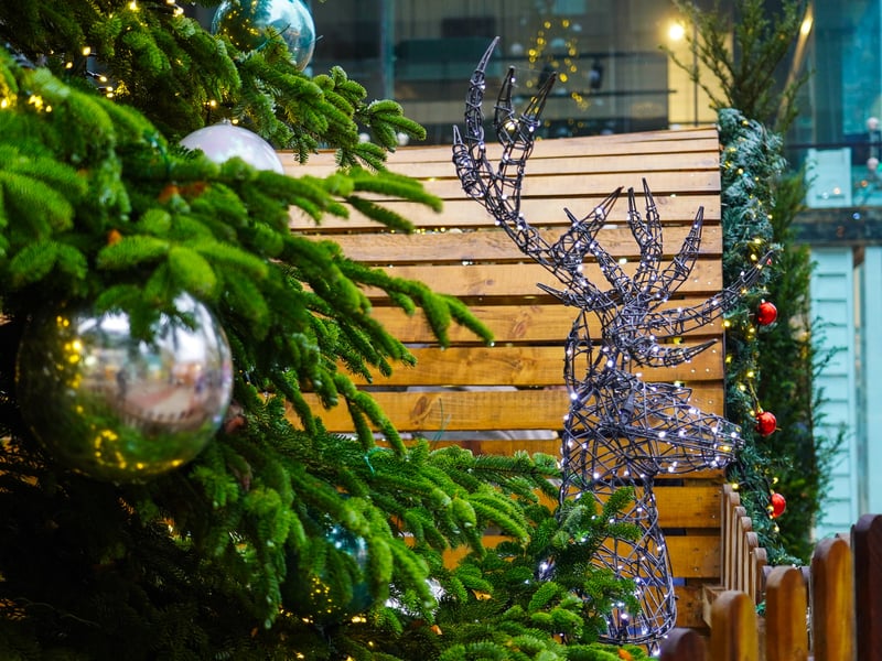 Pictured is Christmas decorations . Pictured by Alec Chapman