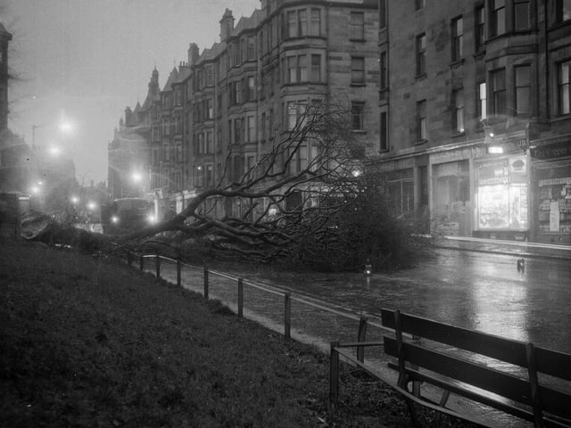 A tree lies across road in Bruntsfield Place after gales hit Edinburgh in December 1962.