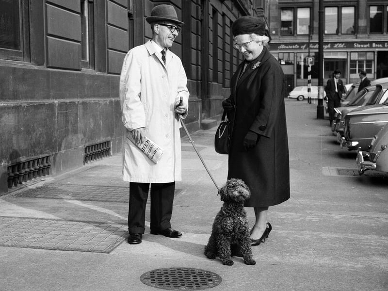 Jimmy McInnes, the Labour candidate for Central Glasgow, in December 1964.