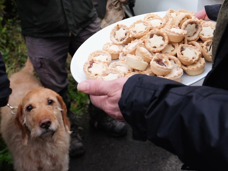 A mince spy.