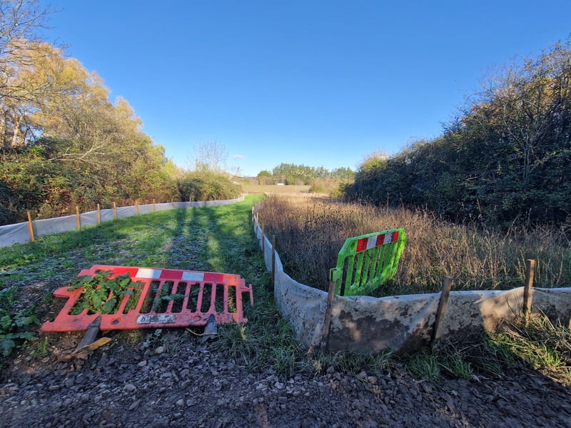 Reptiles are currently hibernating in special areas at Ports Creek while the sea defence work continues