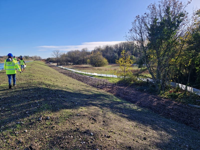 New trees have been planted alongside the new embankment