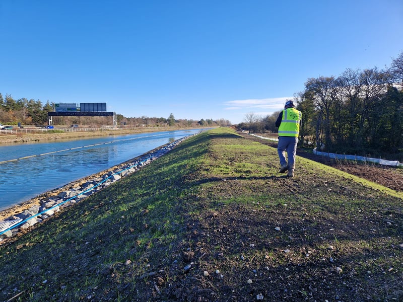Green shoots are appearing on the new embankment